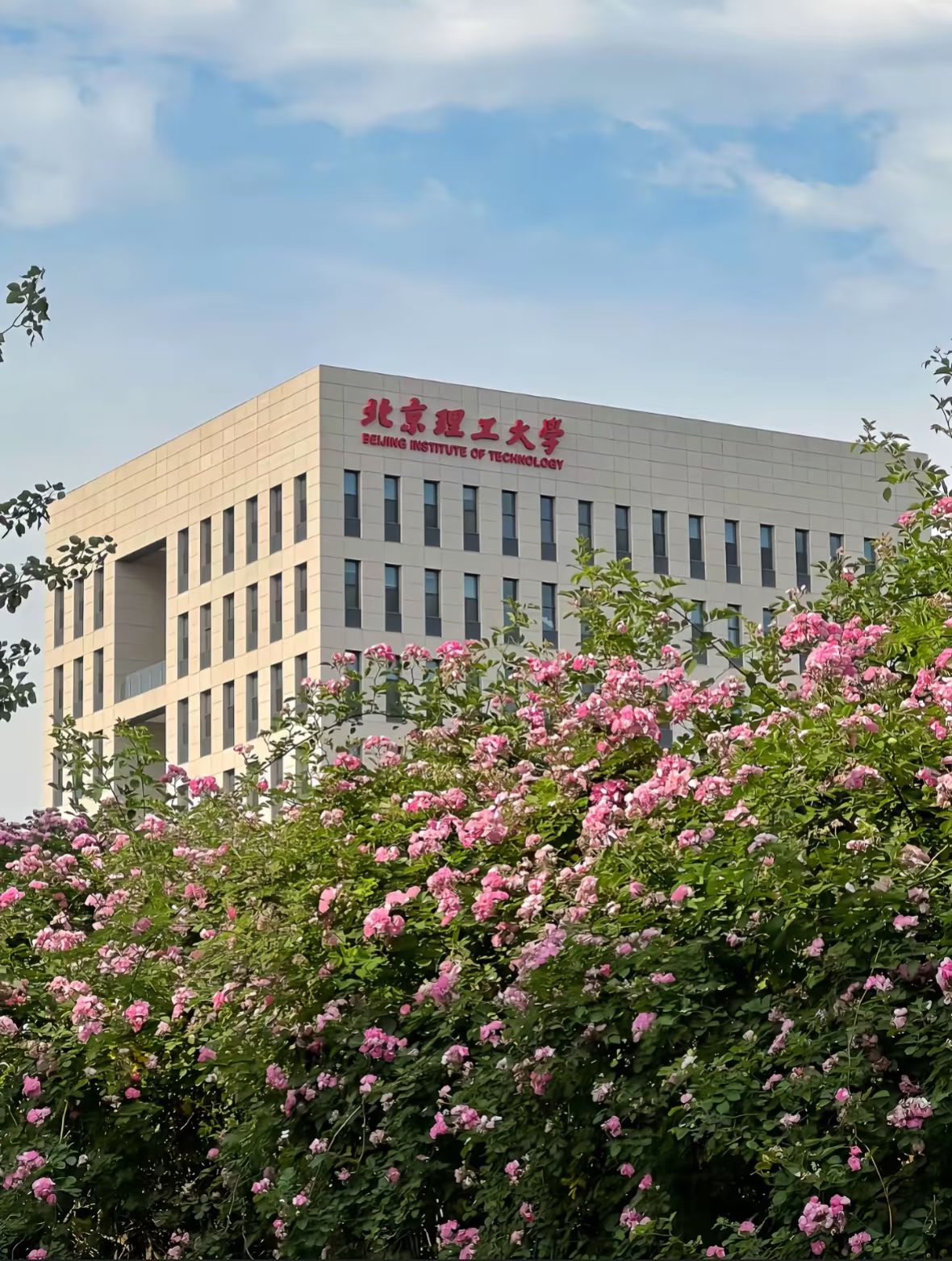 北京理工大学中关村校区资料图｜来源：高德地图公开地点图片