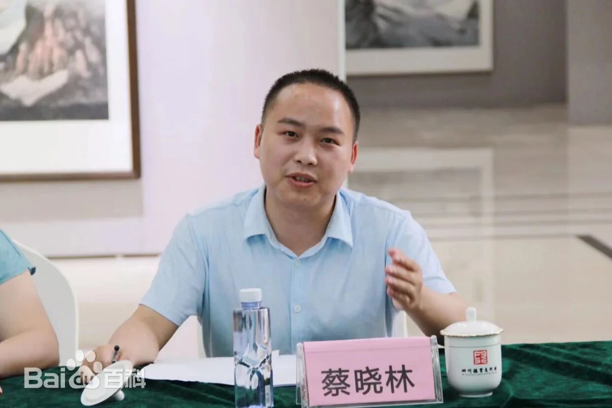 财经新媒体中访网负责人蔡小玲被刑拘