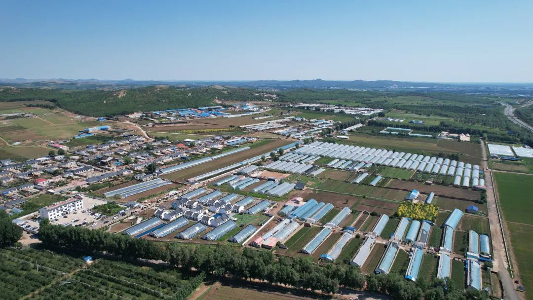 2024年内蒙古其他地区现代农业大棚资料图，非通辽钱家店涉案项目；用于区分真实经营规模与涉案项目宣传承诺｜来源：内蒙古新闻网