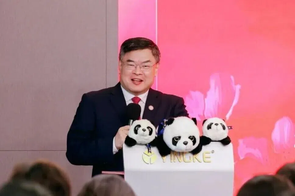 梅向荣在过往盈科活动中发言(资料图片)|来源:联合早报