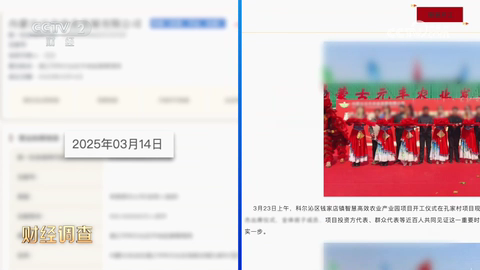 节目将2025年3月14日公司成立信息与3月23日项目开工资料并置，显示两个时间点仅相隔九天。来源：央视《财经调查》2026年10月11日，21:35