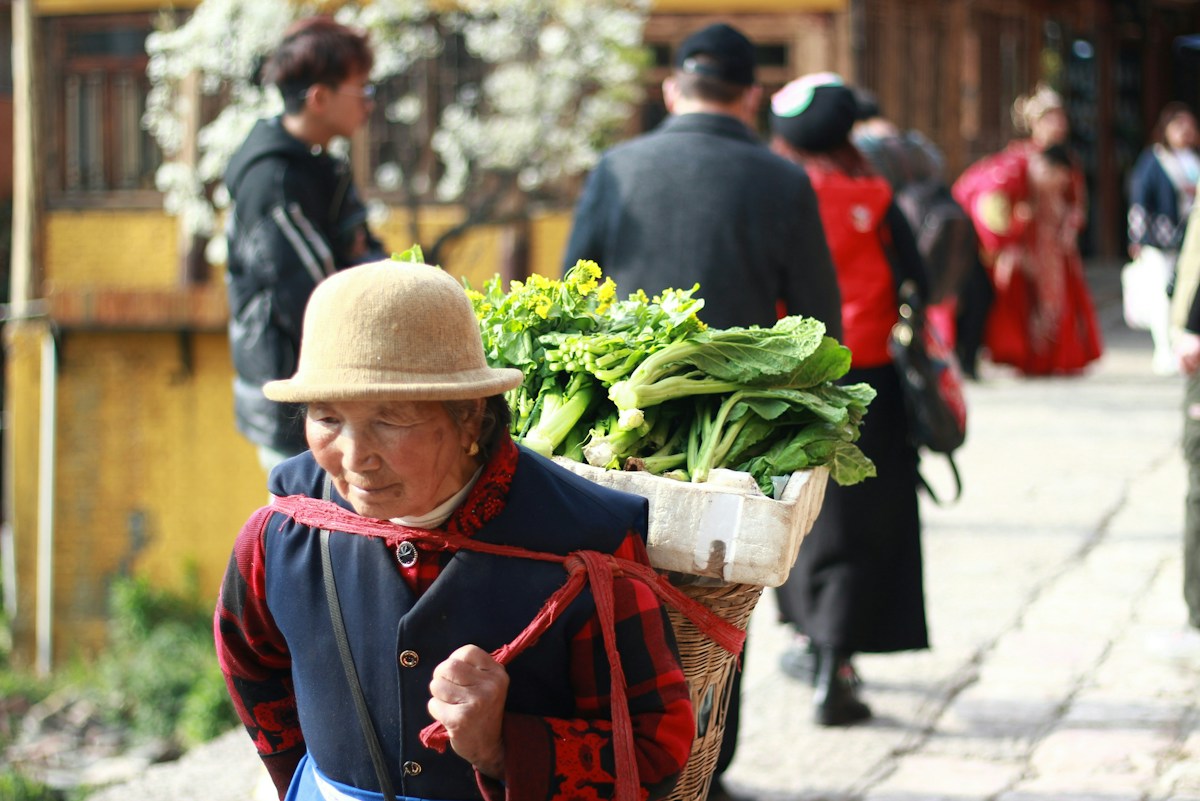 云南农村老年人背负蔬菜走在乡间石板路上的资料照片,摄影:Sifan Liu/Unsplash;非此次短视频的实际人物|来源:Sifan Liu / Unsplash,经Eco-Business刊载
