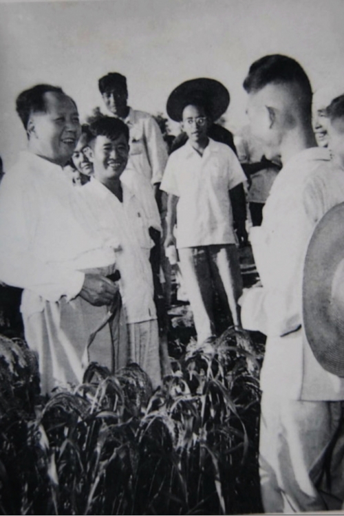 1958年8月4日,毛泽东考察河北徐水。历史资料照片|来源:Wikimedia Commons / CC0