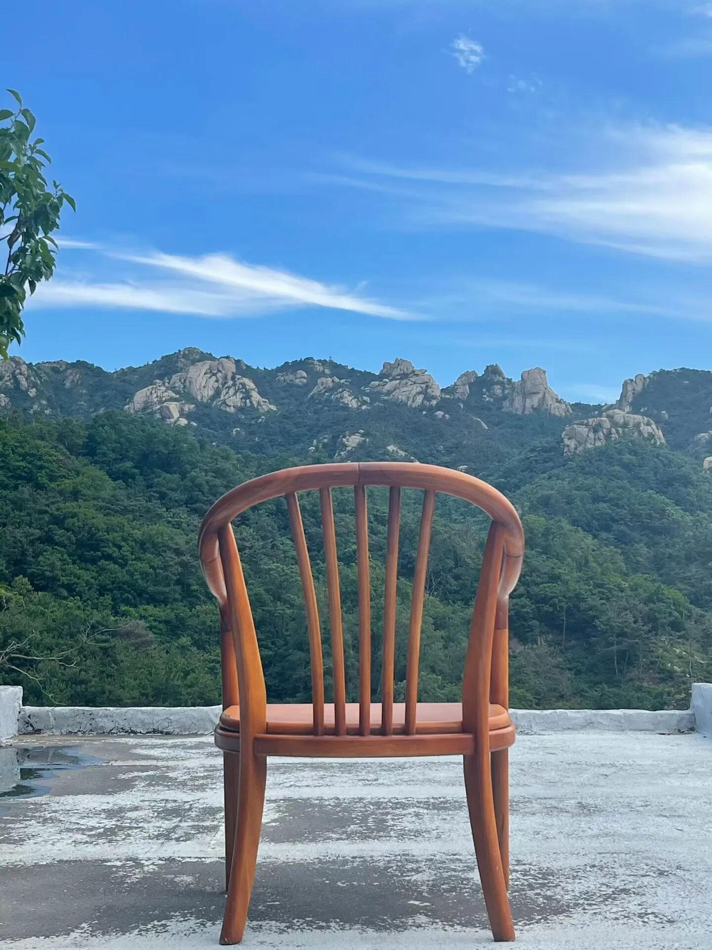 一个法律人的四次建言:寻衅滋事罪背后的法治理想与现实困境
