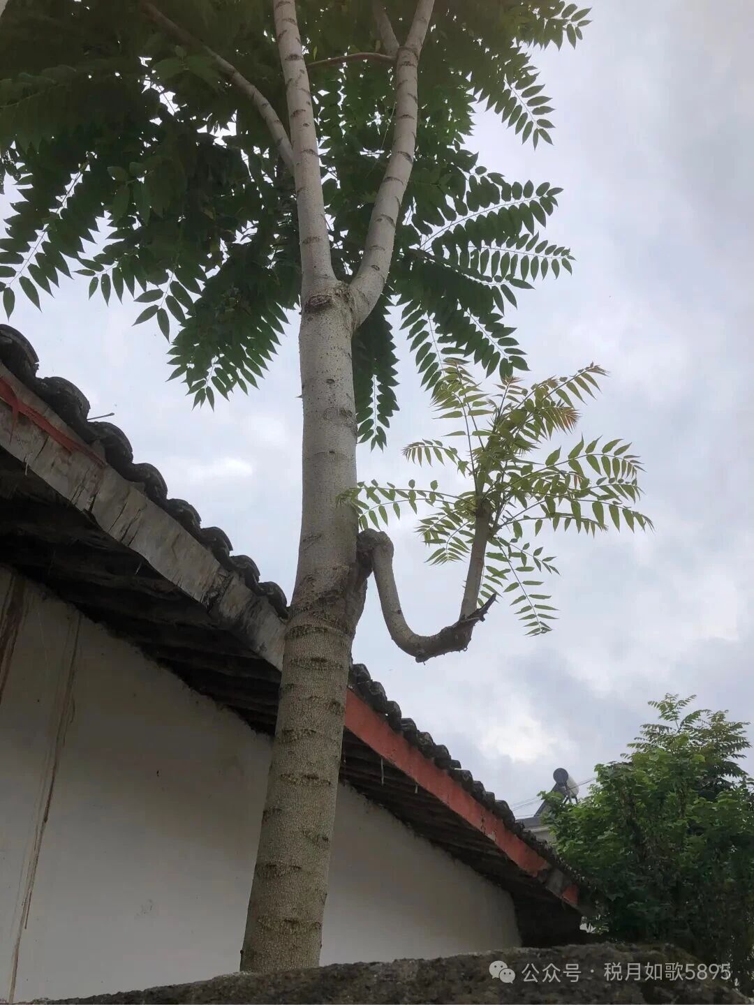 甘肃成县原国税局副局长出狱后进京上访记：奔走七日见证申诉百态