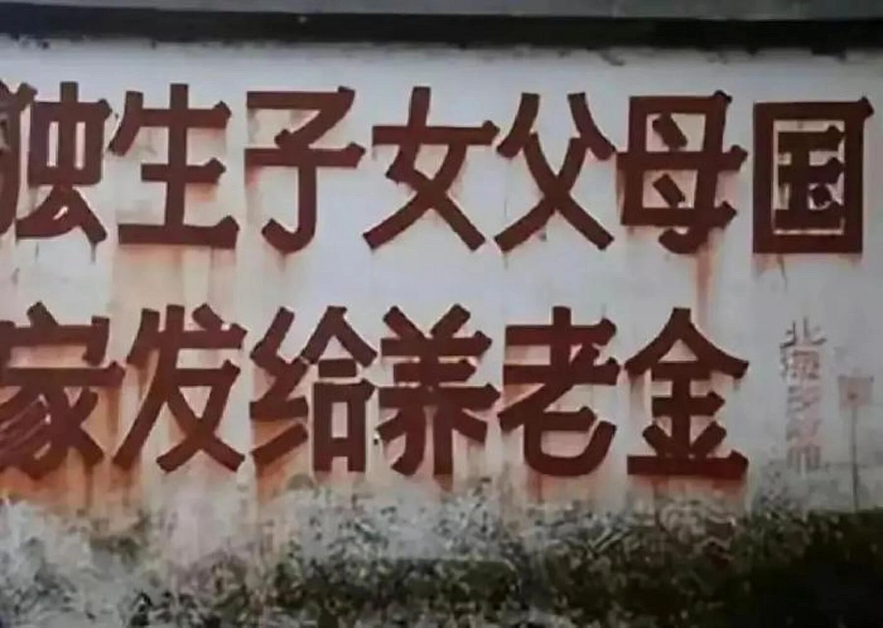 “何不食肉糜”？山东民政厅长“个人是养老第一责任人”引全网争议：养老的账，不能只让底层来扛