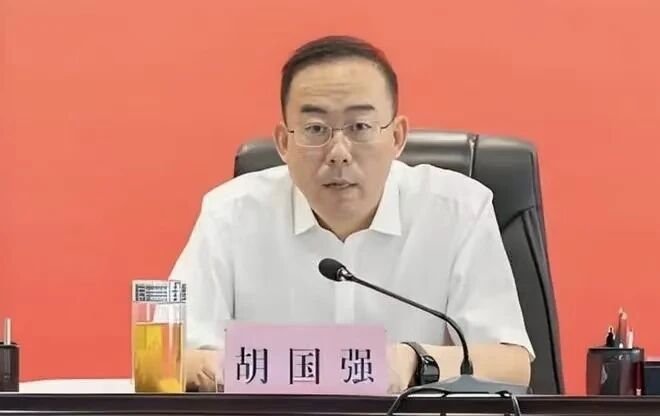 厅官胡国强的“局”：四次设局陷害举报人的背后真相